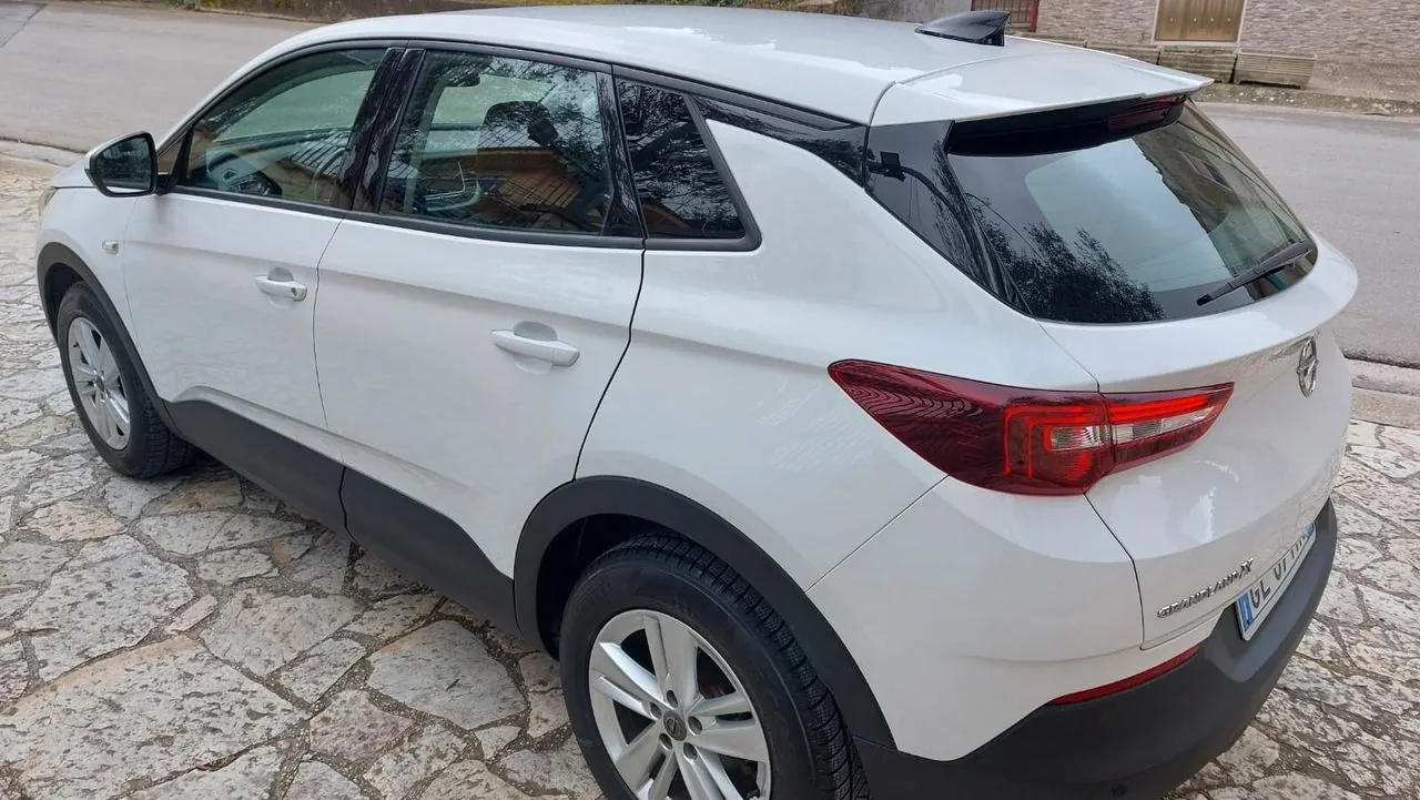 Opel Grandland X 2021 photo 2