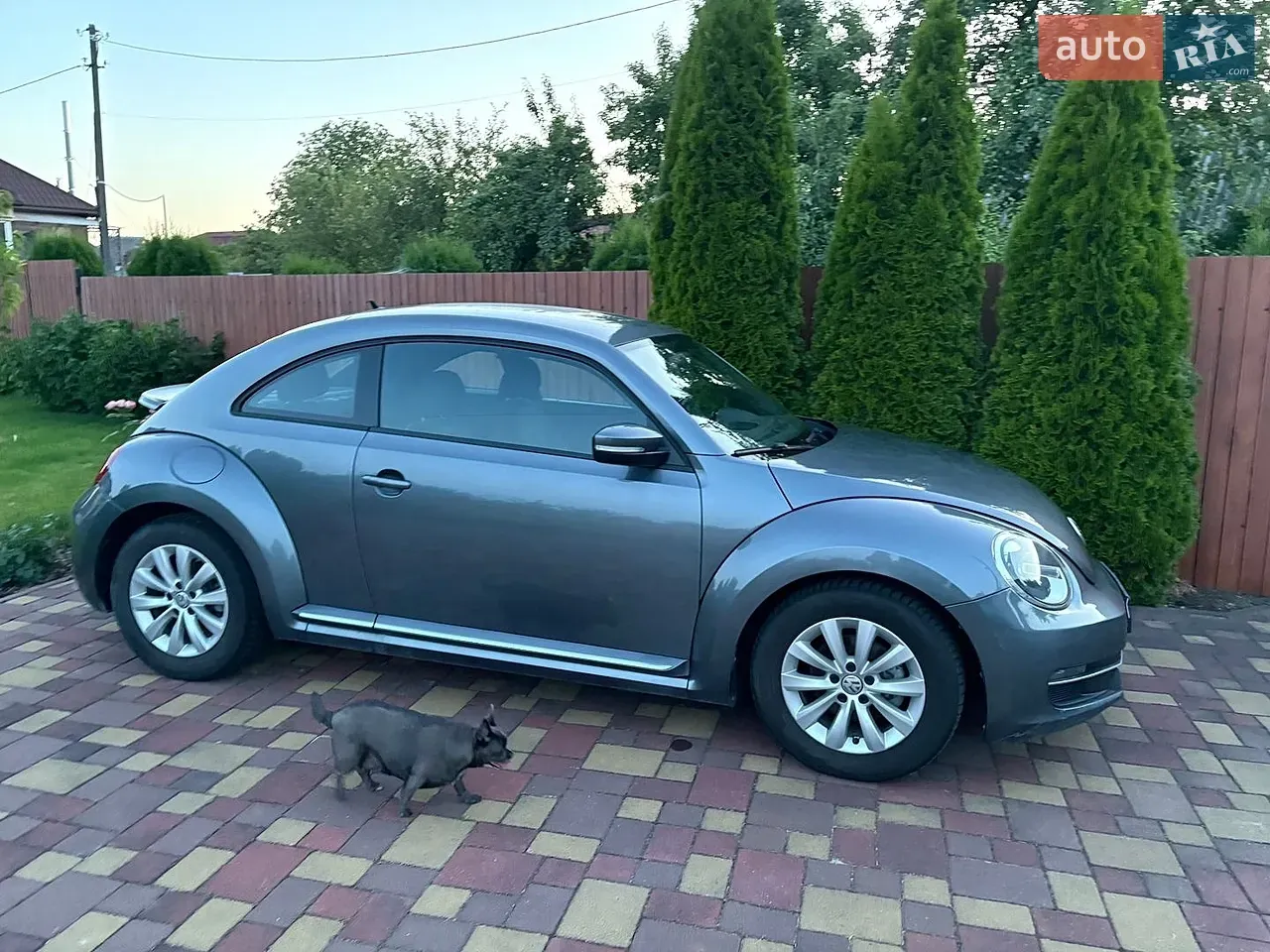 Volkswagen Beetle 2019 photo 3