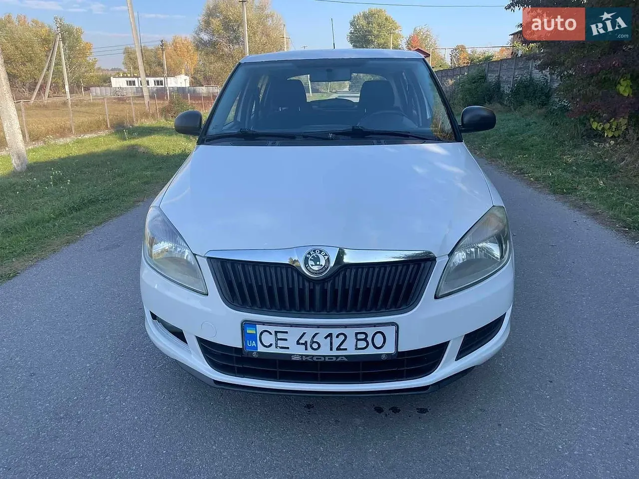 Skoda Fabia 2010 photo 2