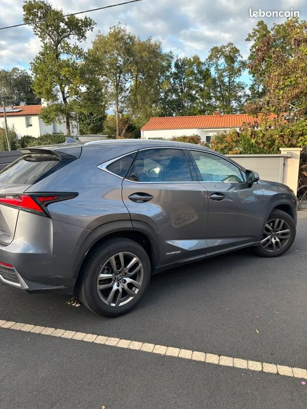 Lexus Nx 2020 photo 2