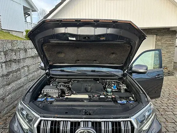 Toyota Land Cruiser 2019 photo 3