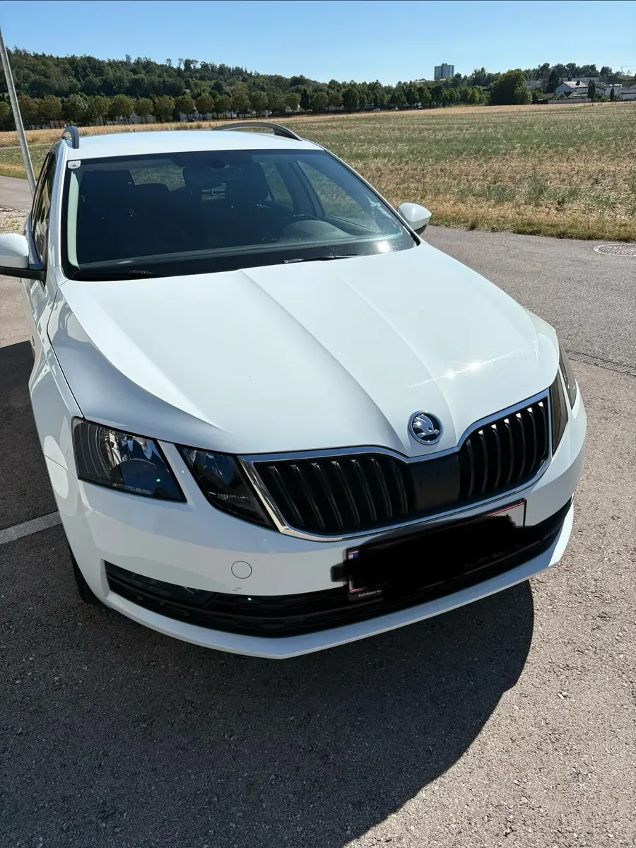 Skoda Octavia 2019 photo 2