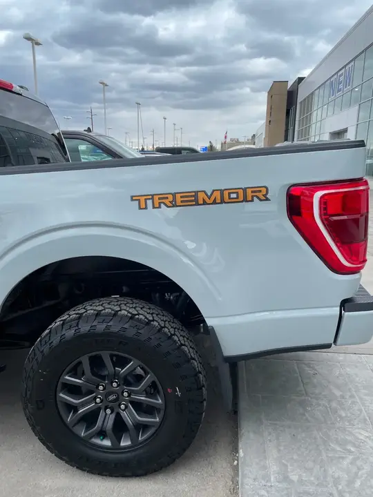 Ford F-150 2023 photo 4