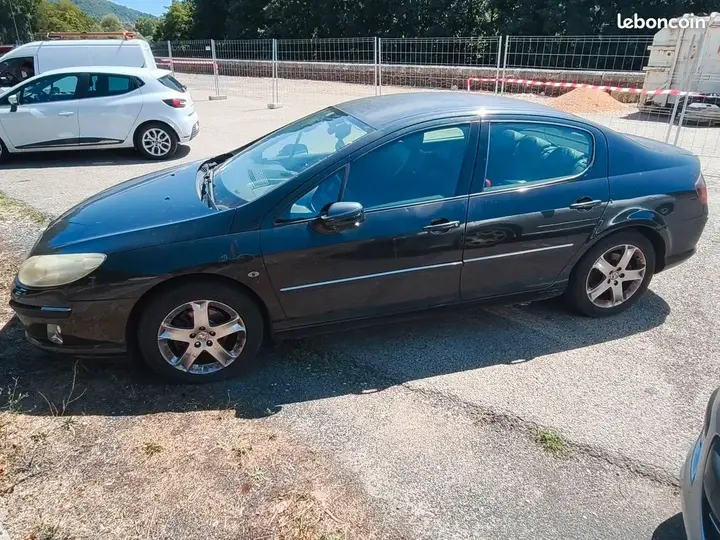 Peugeot 407 2005 photo 2