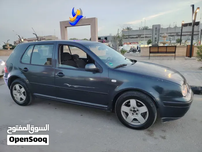 Volkswagen Golf Gti 2004 photo 3