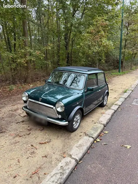 Rover Mini
