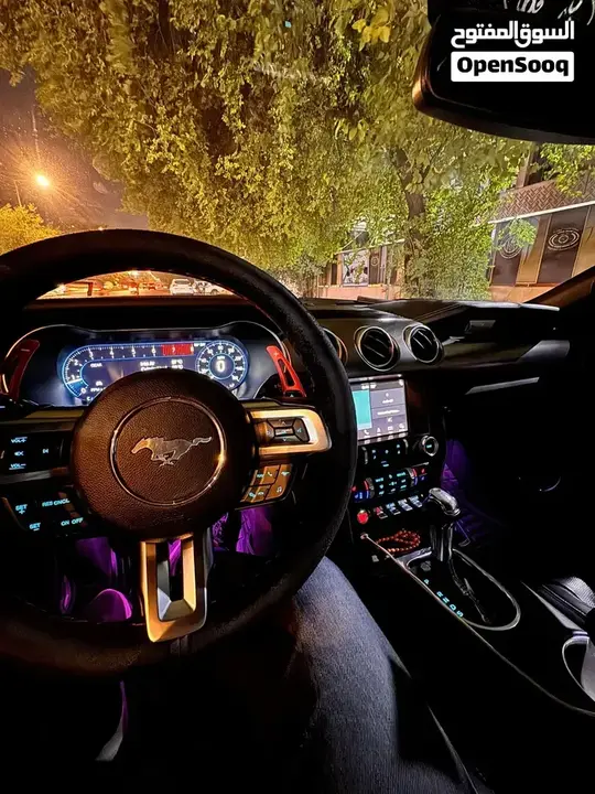 Ford Mustang 2018 photo 3