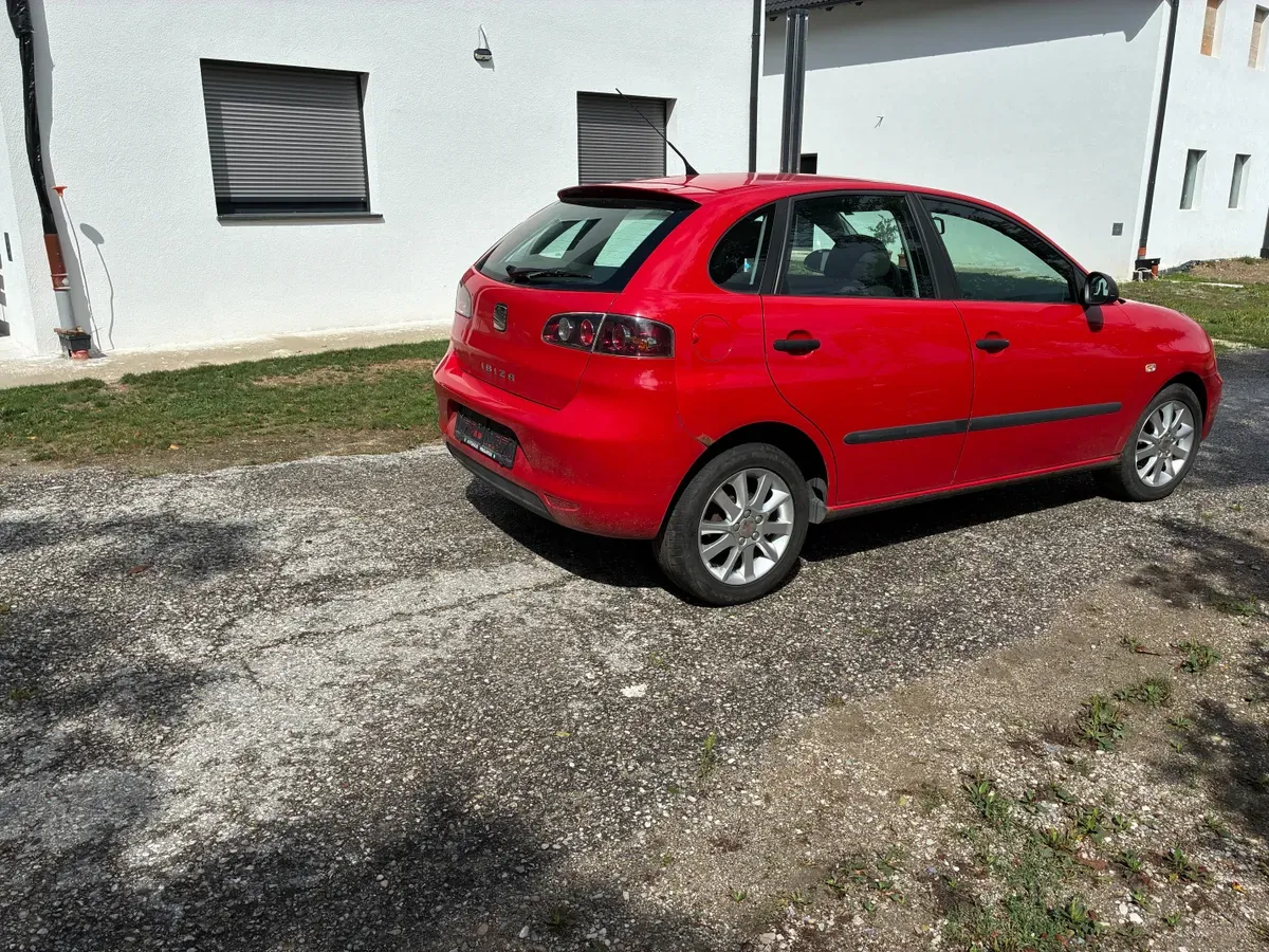 Seat Ibiza 2008 photo 2