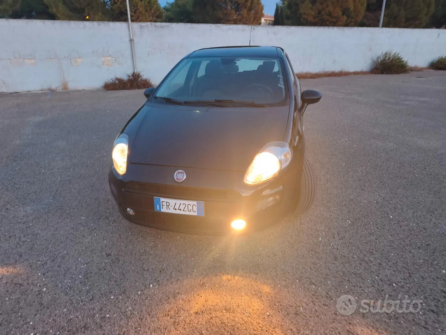 Fiat Punto