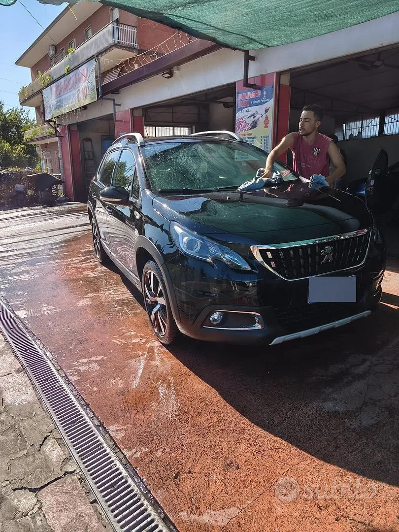 Peugeot 2008 2019 photo 5