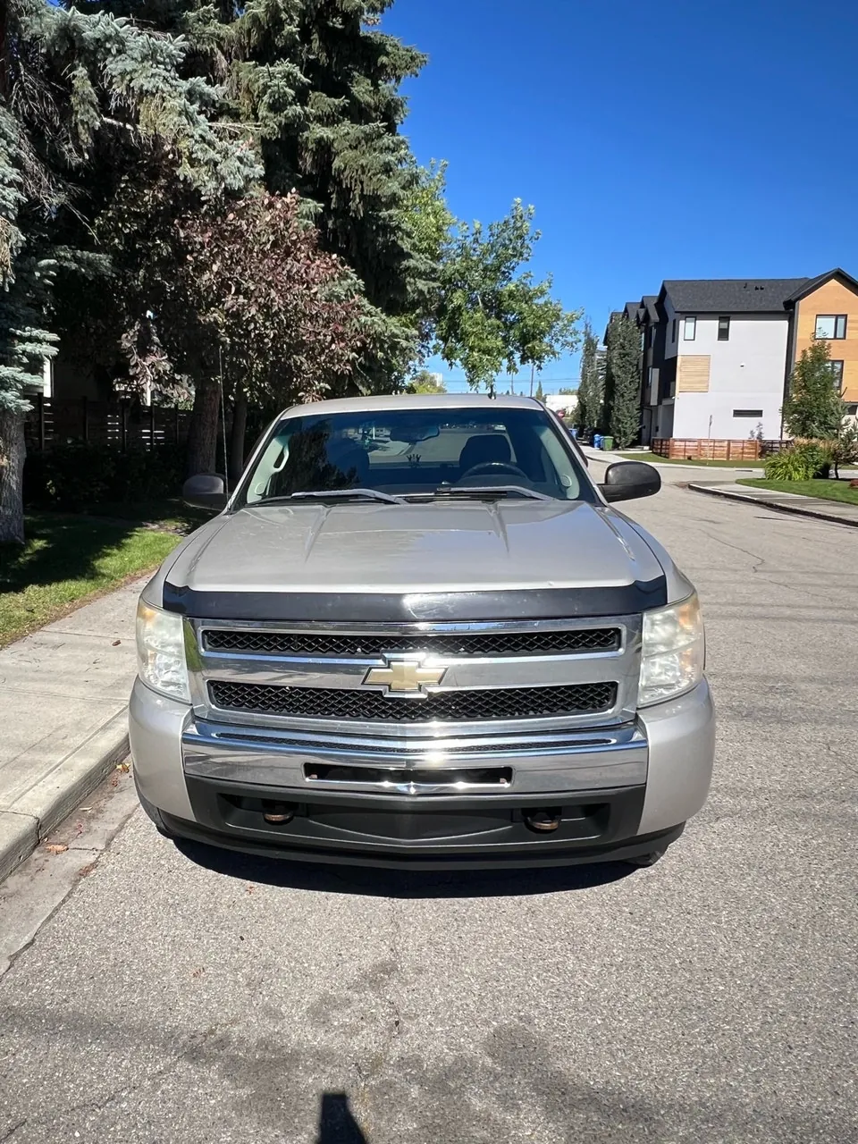 Chevrolet Silverado 1500 2009 photo 2