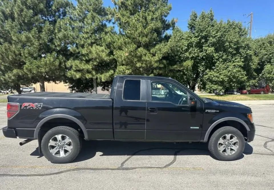 Ford F-150 2011 photo 2