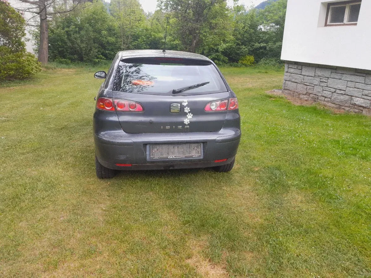 Seat Ibiza 2005 photo 3