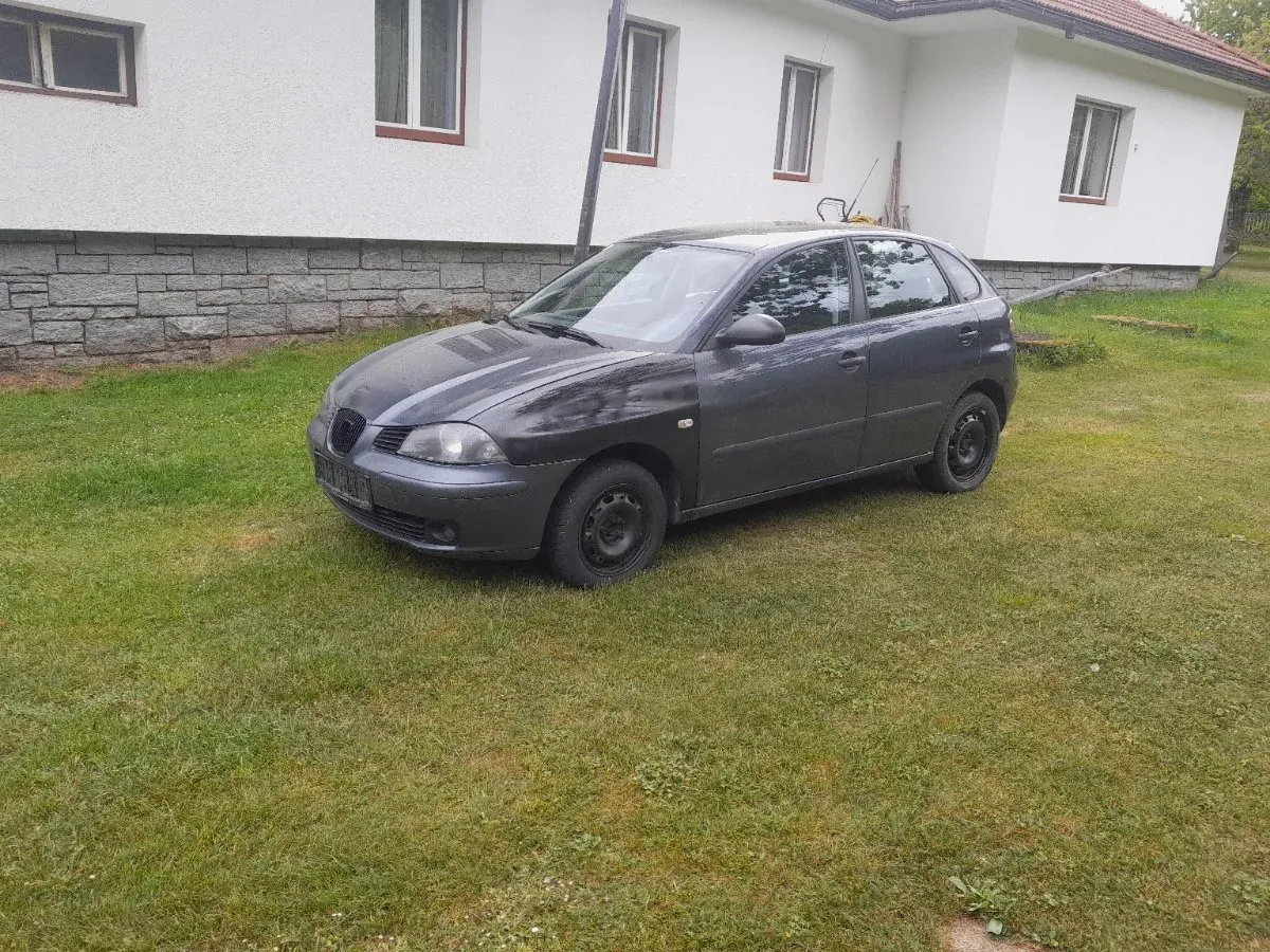 Seat Ibiza 2005 photo 2