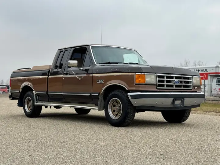 Ford F-150 1988 photo 3