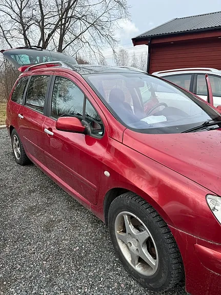 Peugeot 307 2004 photo 3