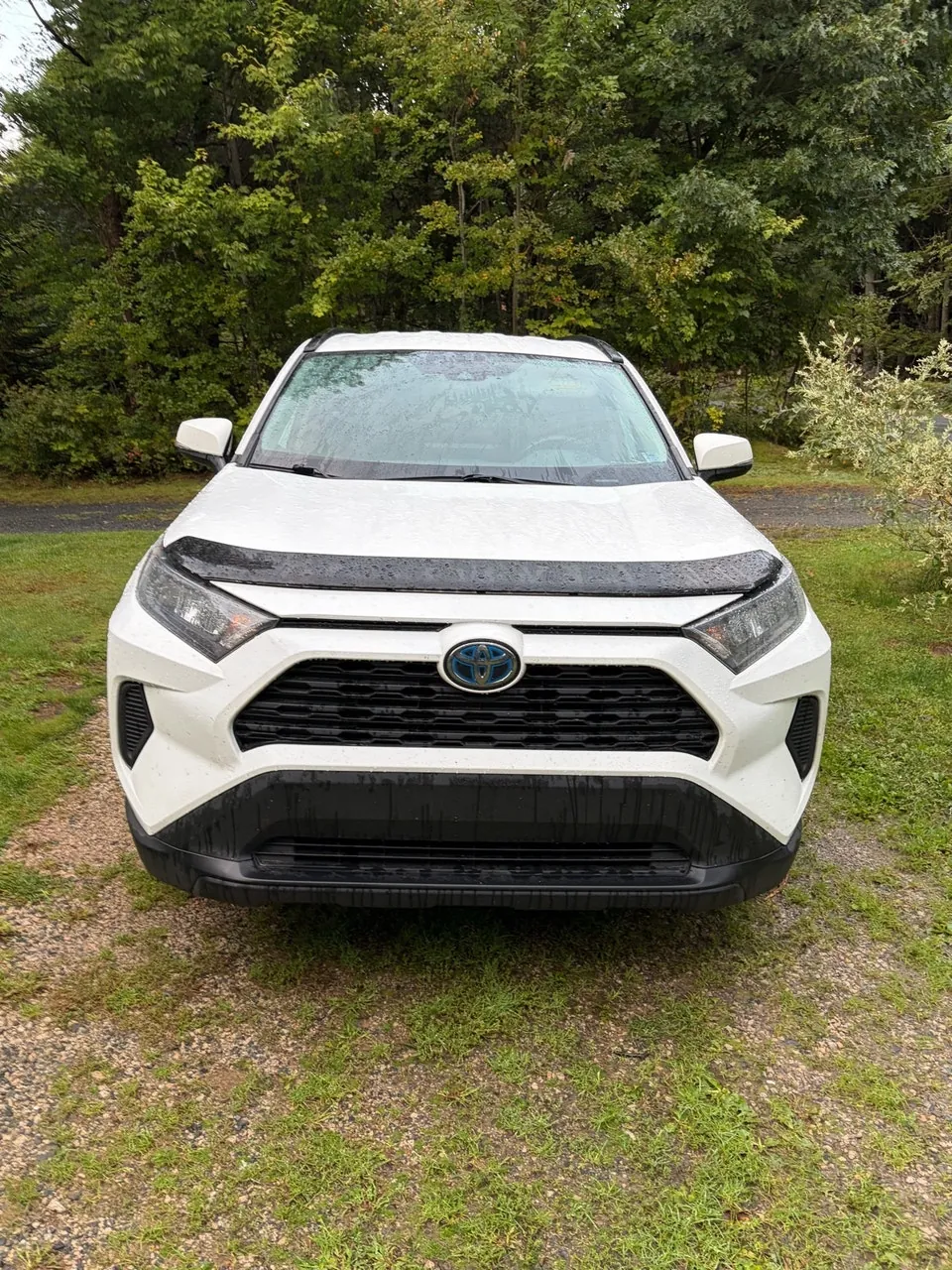 Toyota Rav4 2021 photo 2
