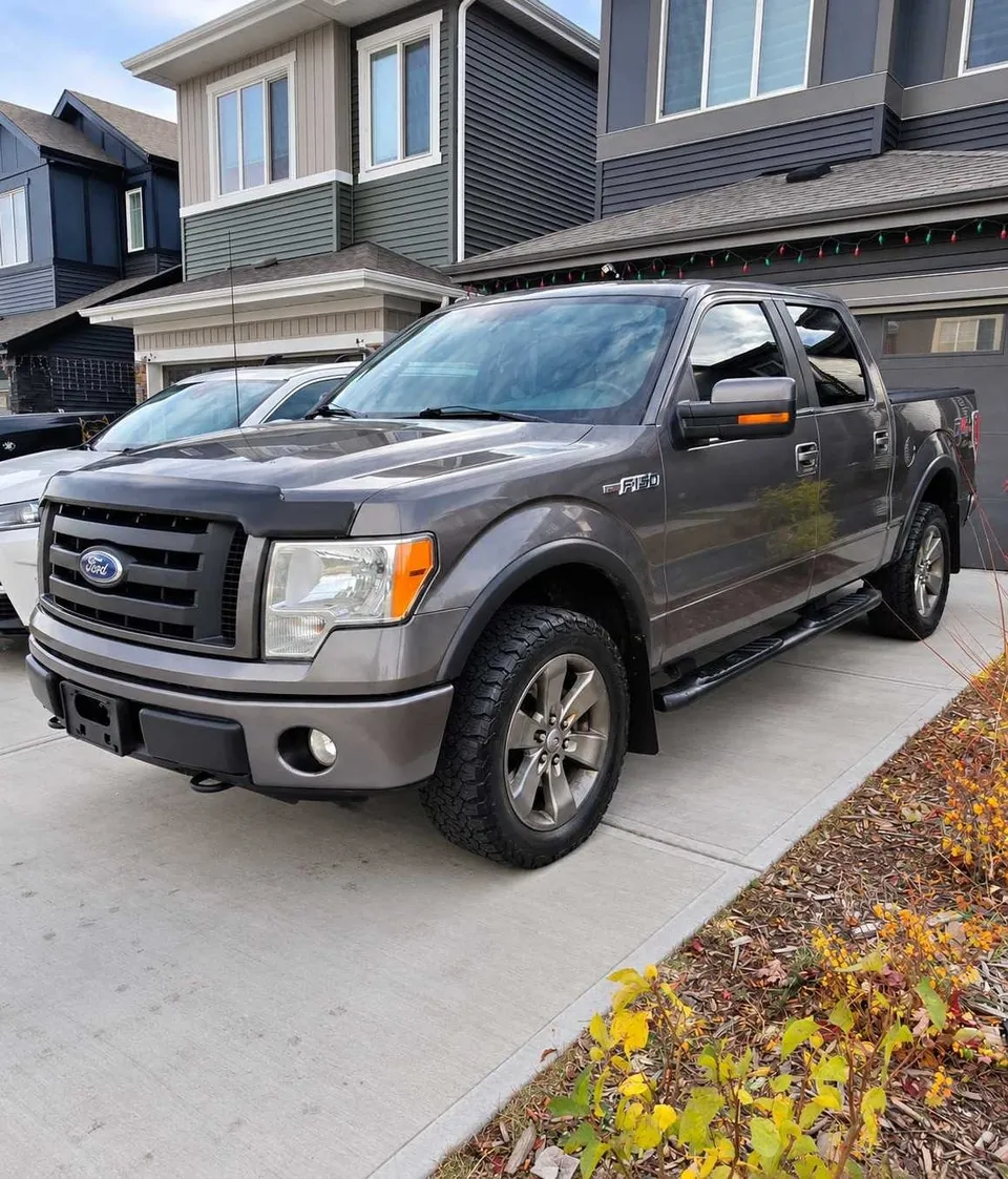 Ford F-150 2010 photo 4
