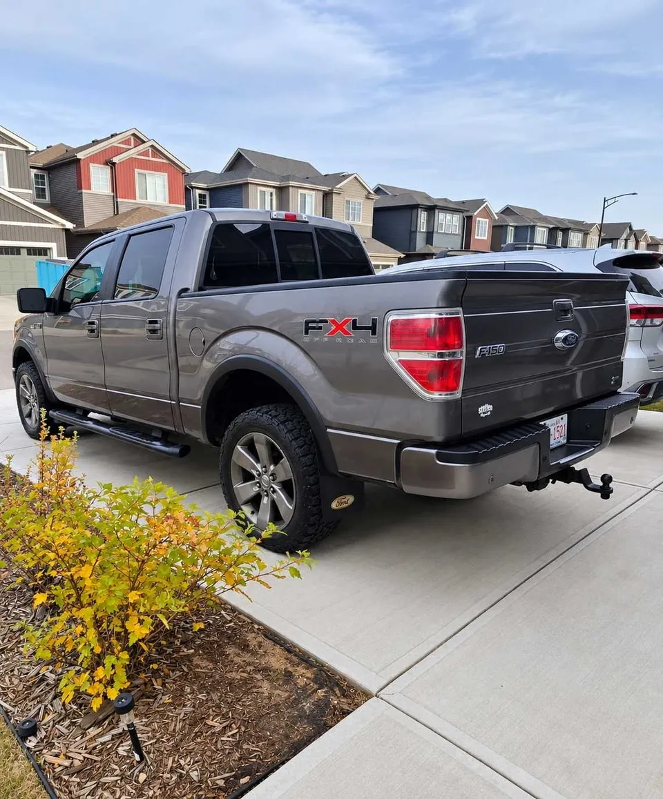 Ford F-150 2010 photo 3
