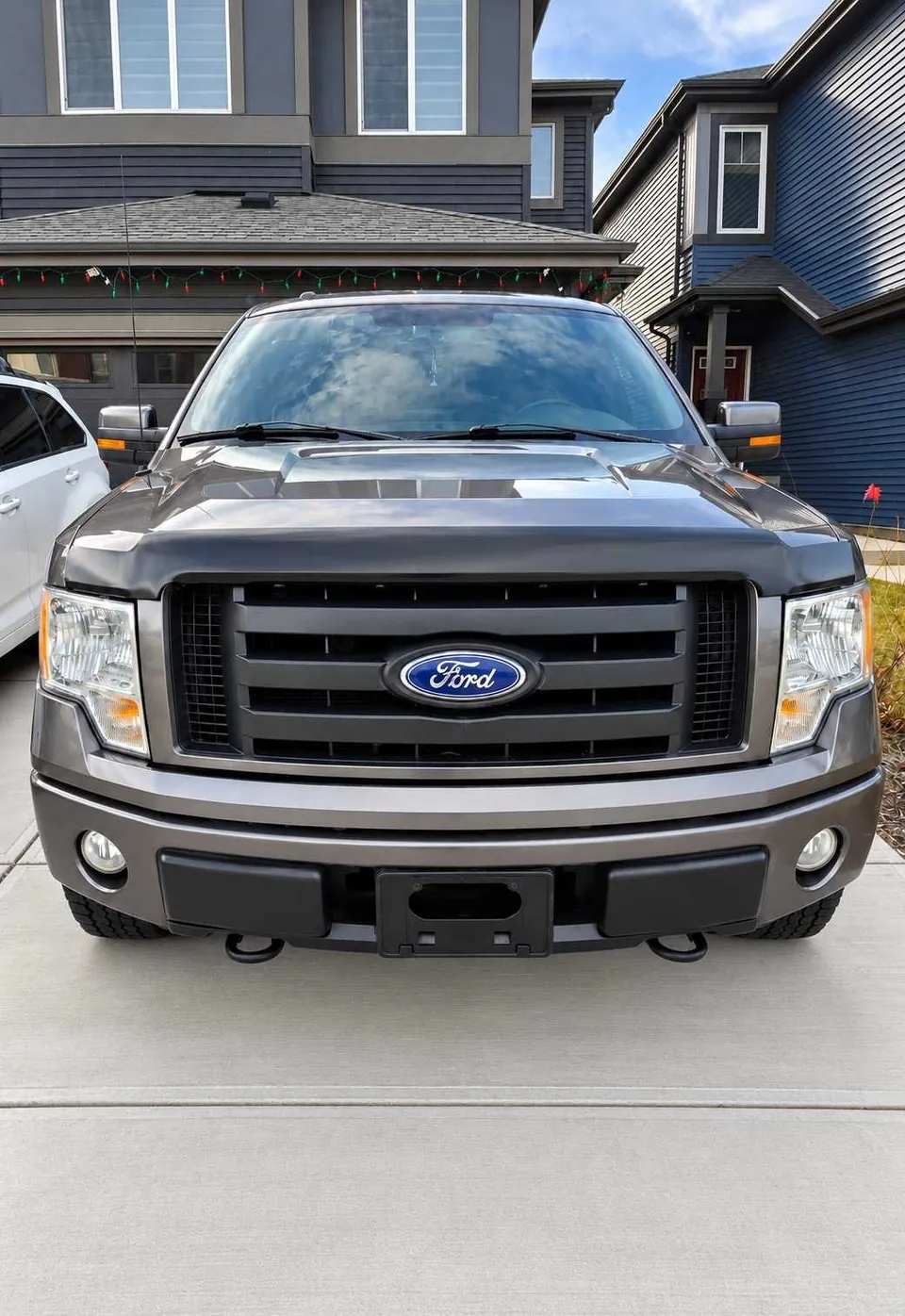 Ford F-150 2010 photo 5