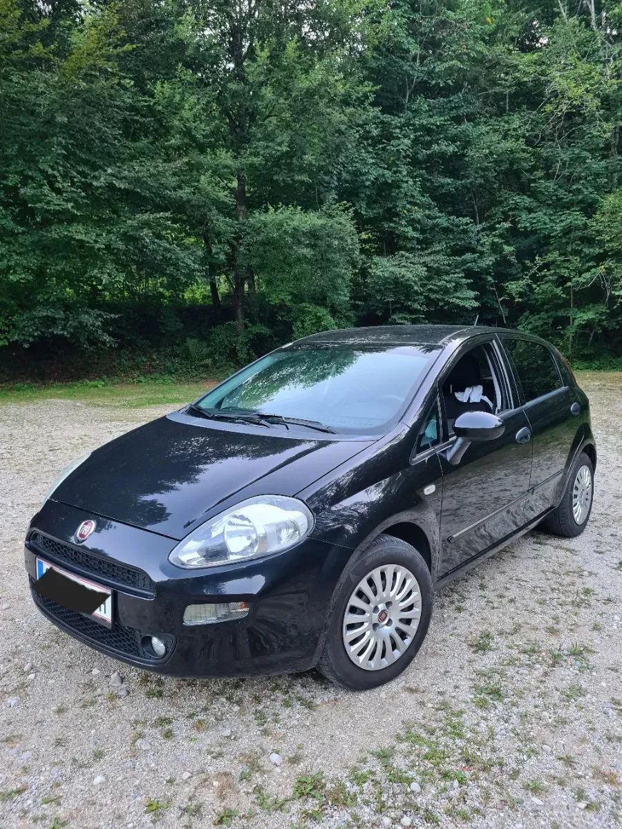 Fiat Grande Punto 2015 photo 2