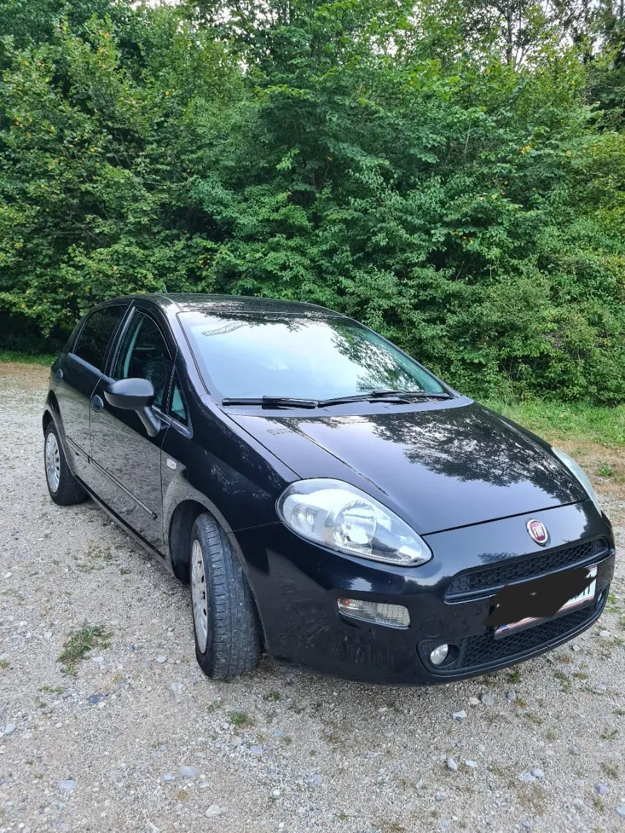 Fiat Grande Punto 2015 photo 3