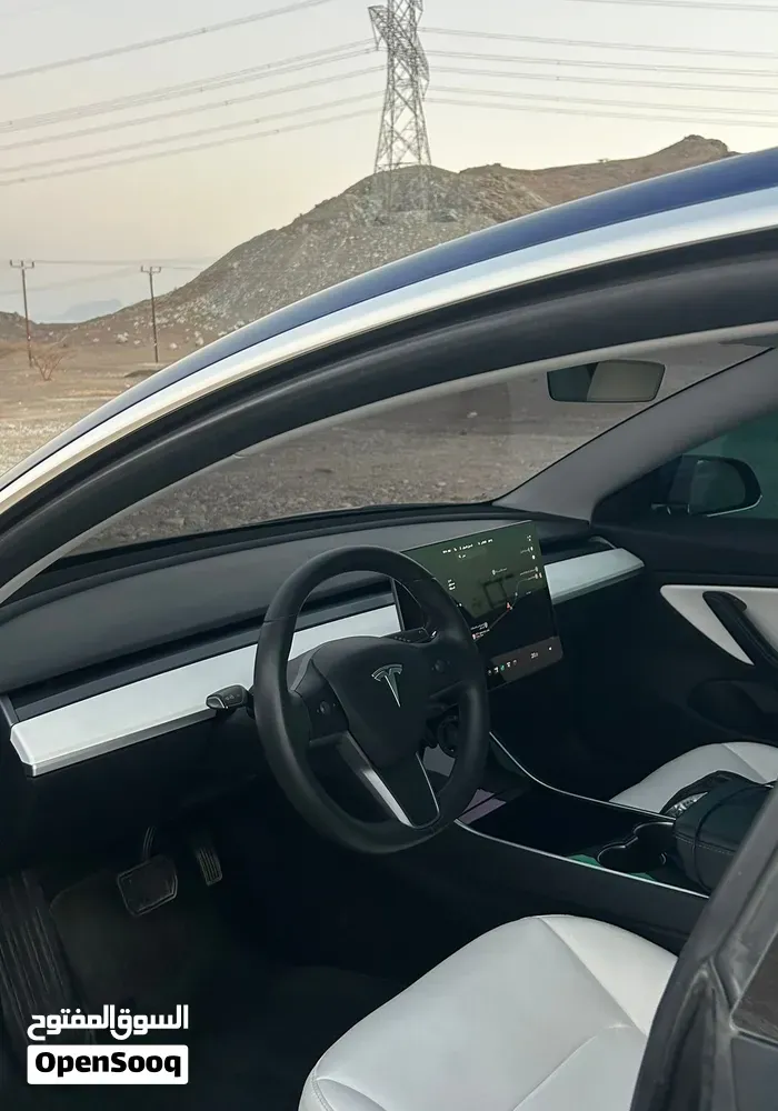 Tesla Model 3 2019 photo 2