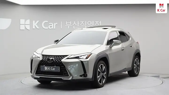 Lexus Ux250H