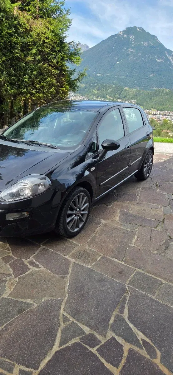 Fiat Punto 2011 photo 2