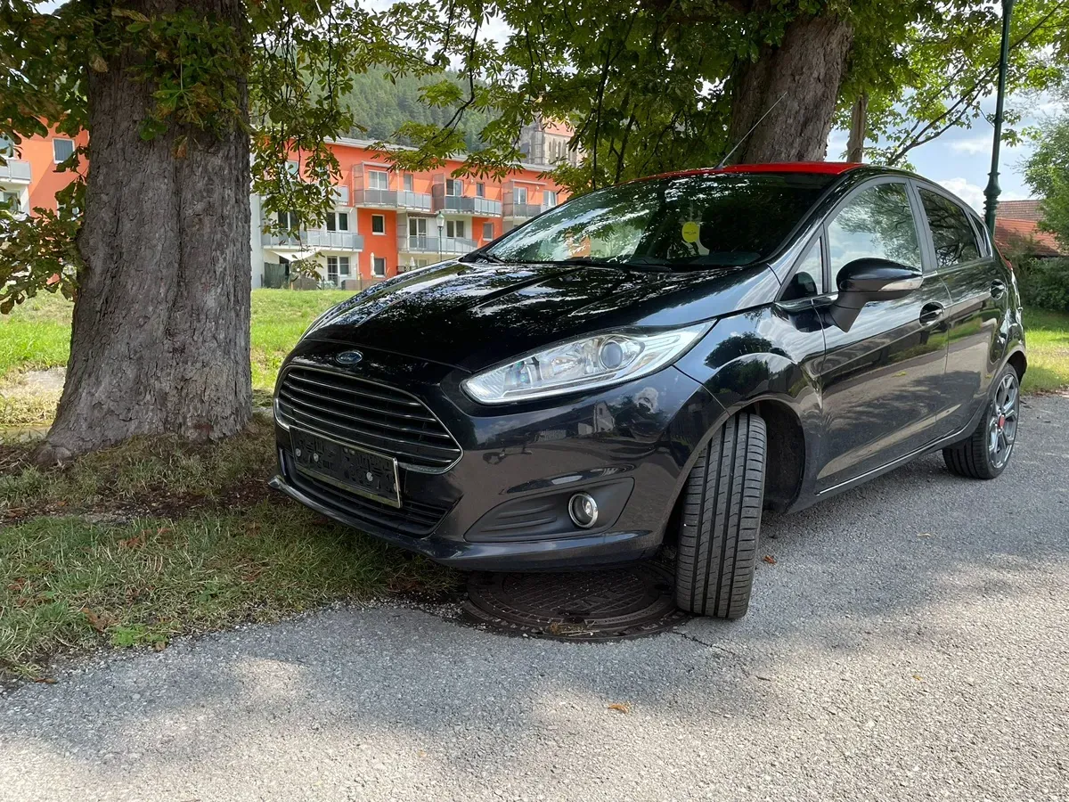 Ford Fiesta 2015 photo 3