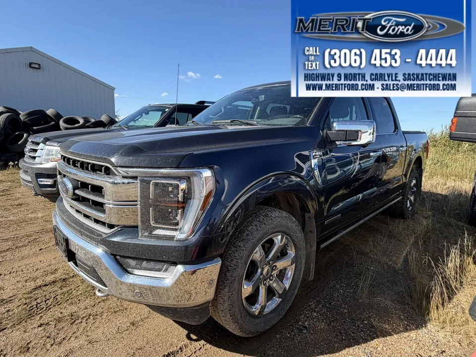 Ford F-150 2021 photo 3