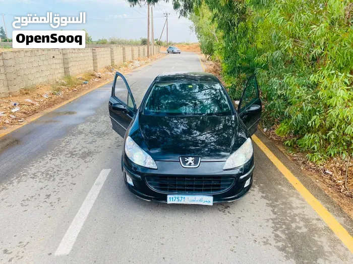 Peugeot 407