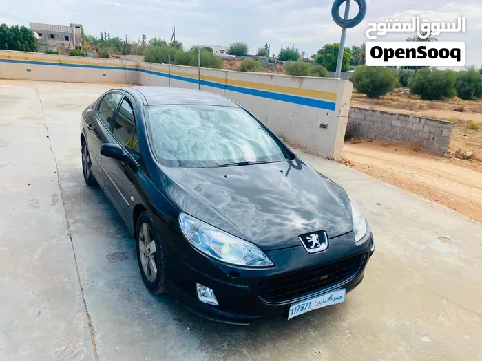 Peugeot 407 2007 photo 4