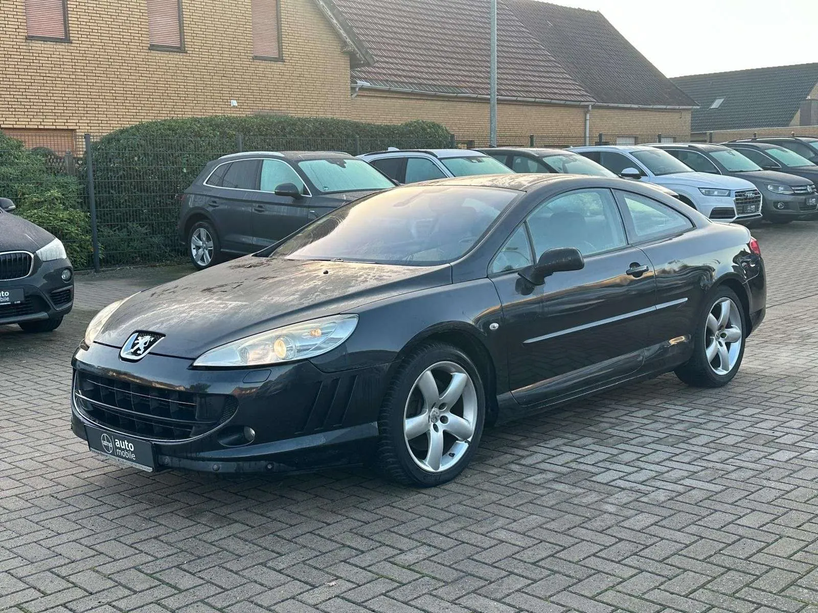 Peugeot 407