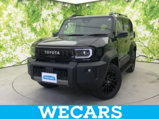 Toyota Land Cruiser Fj