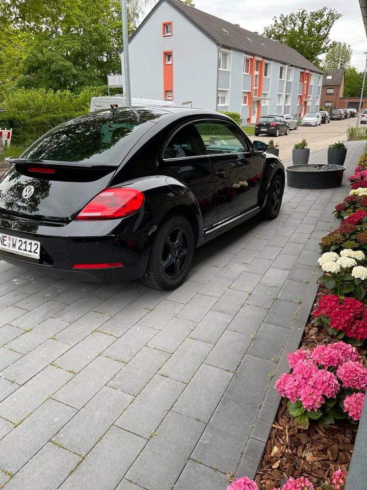 Volkswagen Beetle