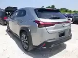 Lexus Ux 2024 photo 5