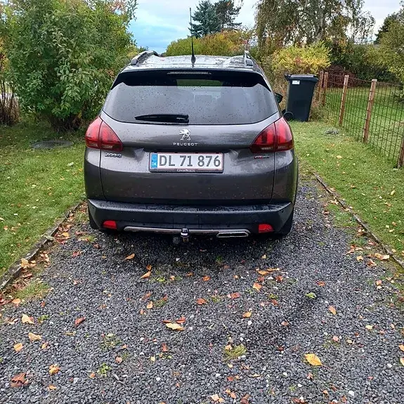 Peugeot 2008 2019 photo 3