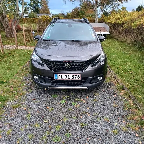 Peugeot 2008 2019 photo 2