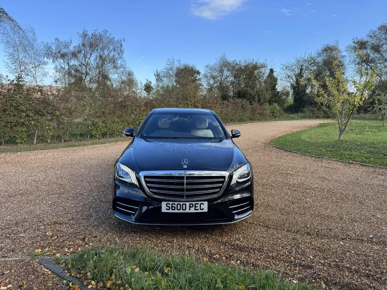 Mercedes-Benz S-Class 2020 photo 3
