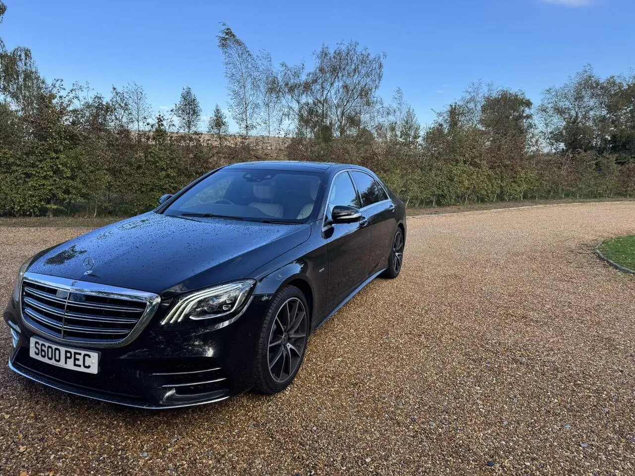 Mercedes-Benz S-Class 2020 photo 4