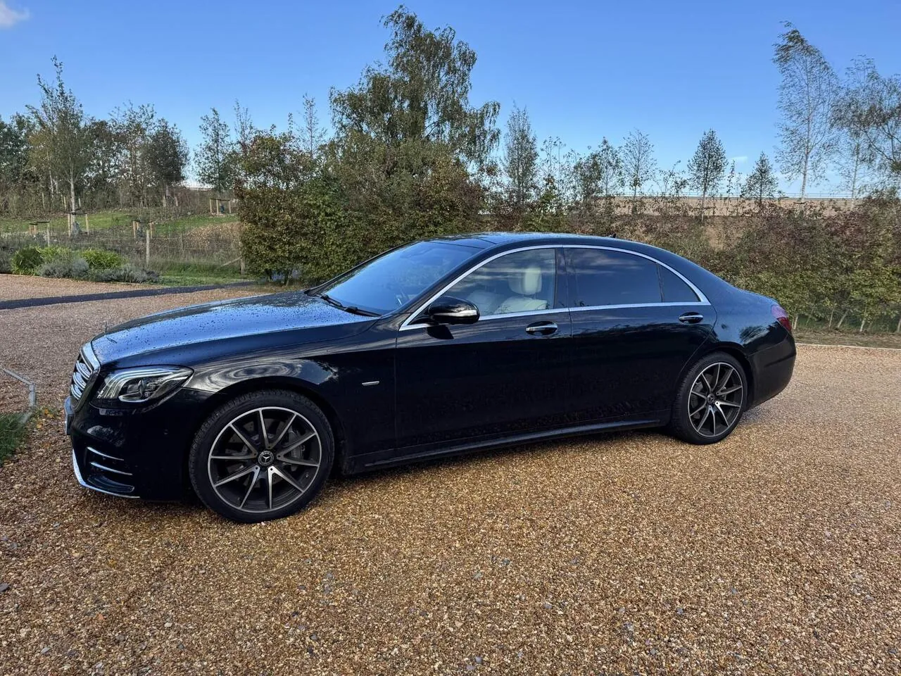 Mercedes-Benz S-Class 2020 photo 5