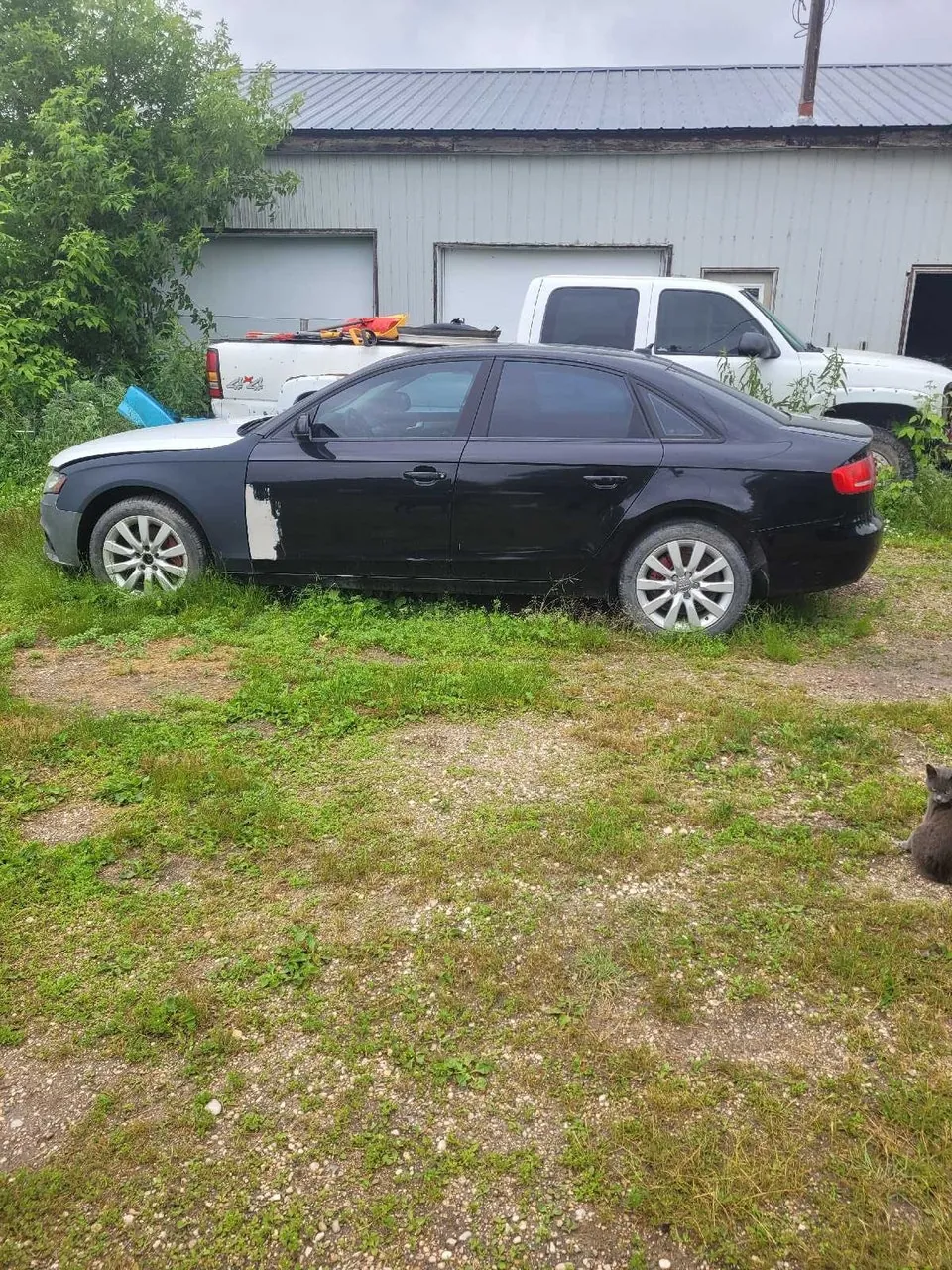 Audi A4 2012 photo 2