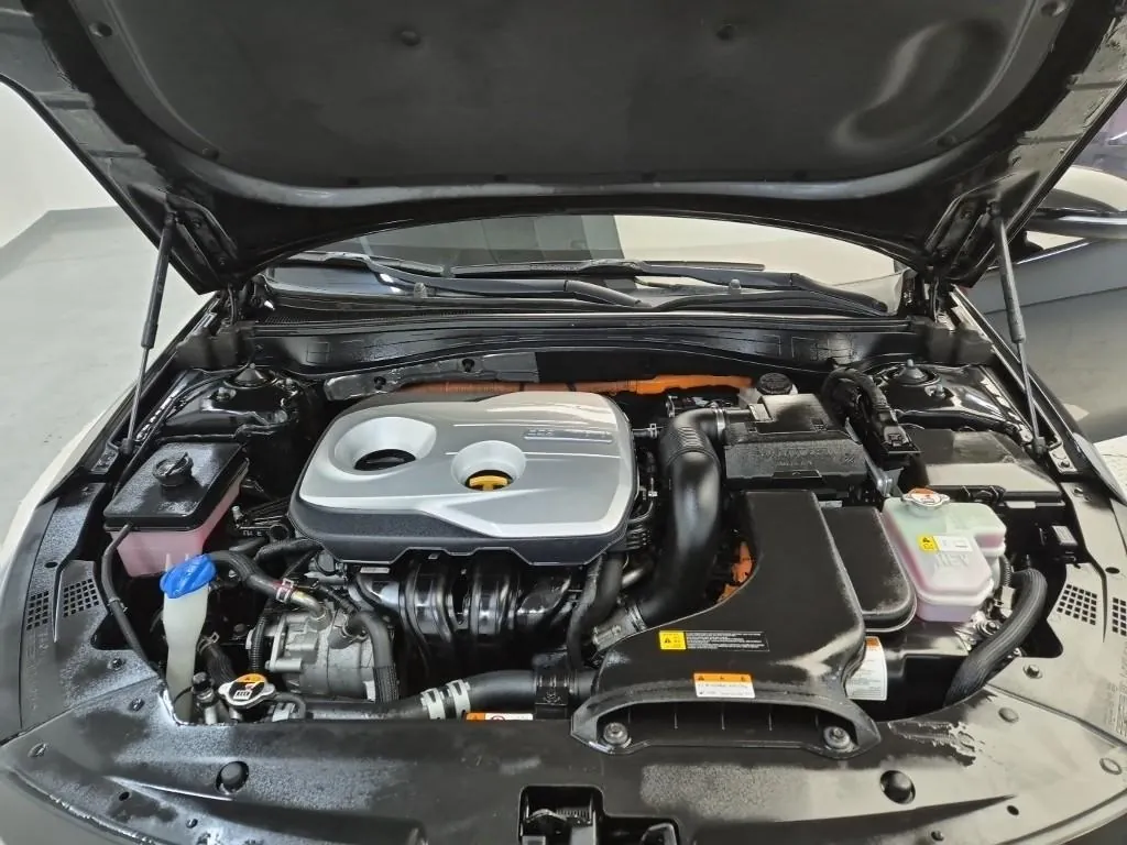 Kia K5 2019 photo 5