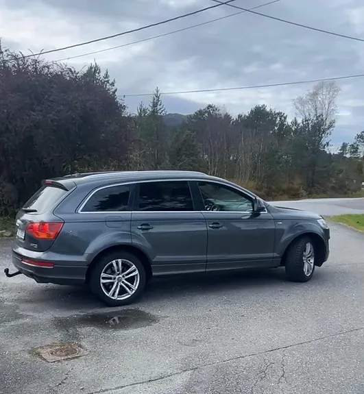Audi Q7 2009 photo 2