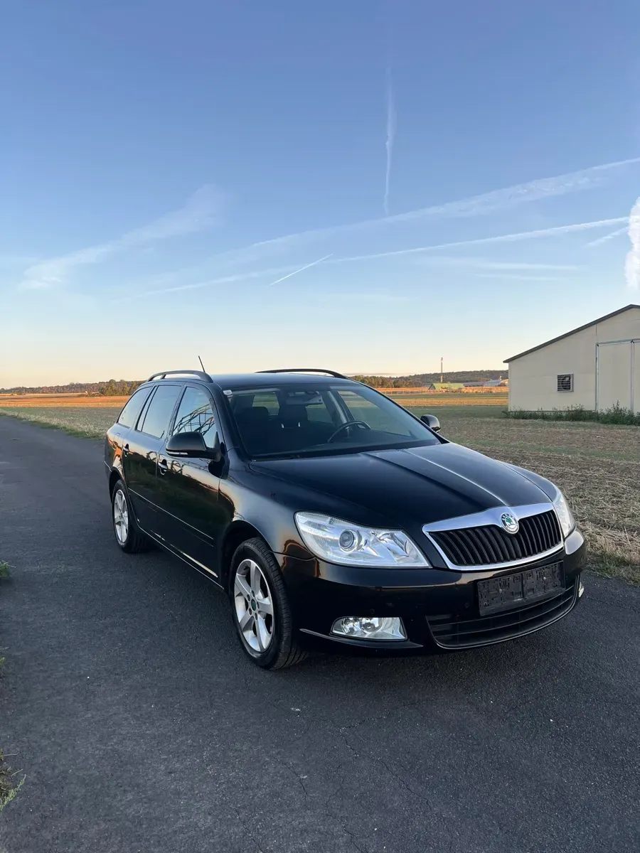 Skoda Octavia 2013 photo 2
