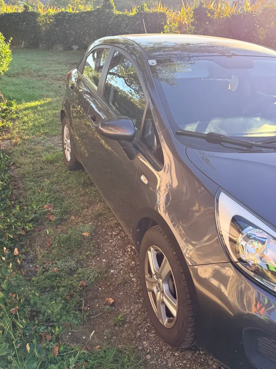 Kia Rio 2013 photo 3