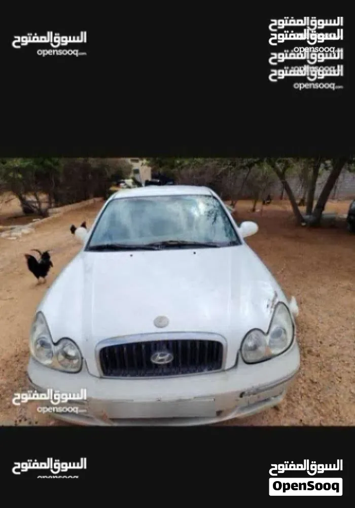 Hyundai Sonata 2004 photo 5