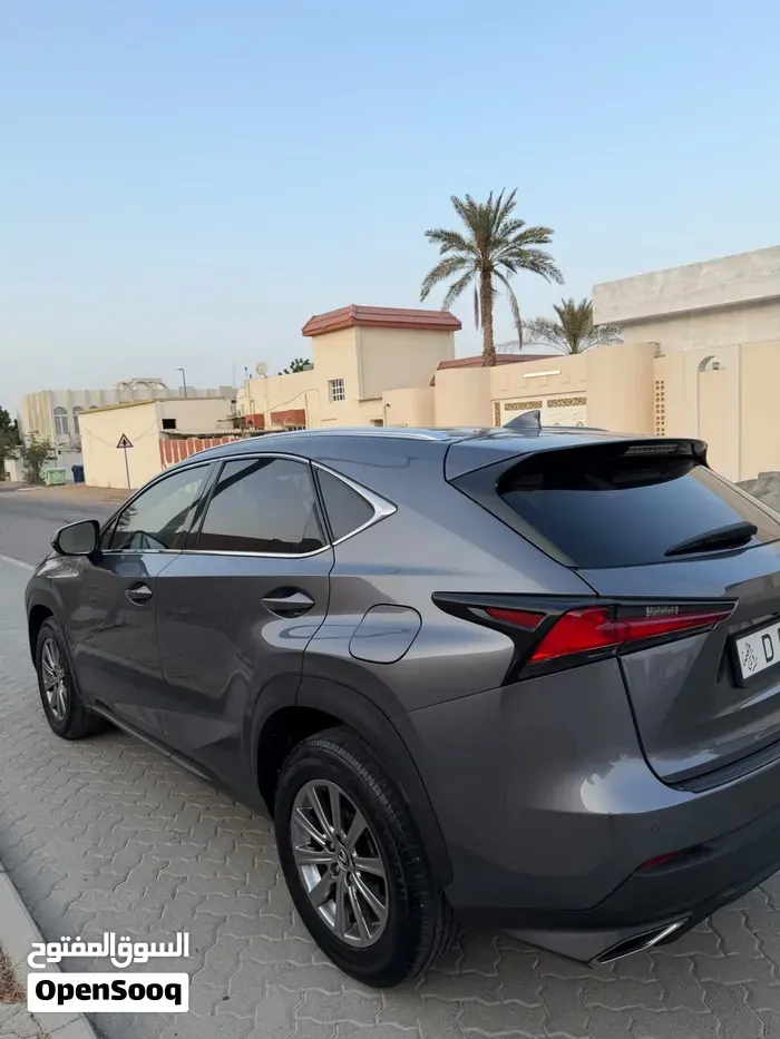 Lexus Nx 300 2018 photo 3
