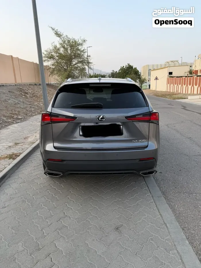 Lexus Nx 300 2018 photo 2